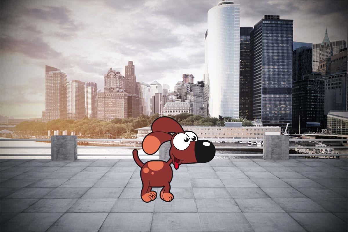 shape shifting king zoe