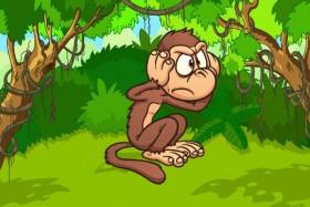 monkey