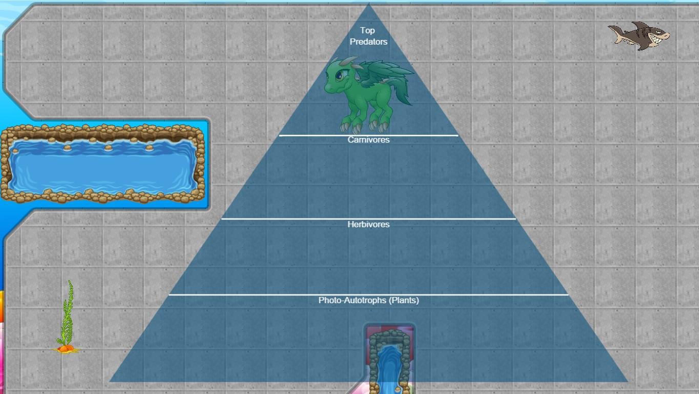 Ocean Ecological Pyramid