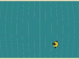 Bird Mayhem 1