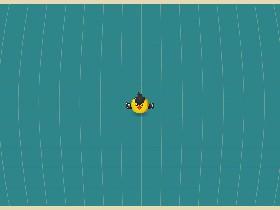 Bird Mayhem 1
