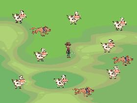 cow roundup 1