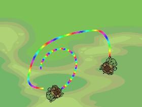 Follow the turtle!