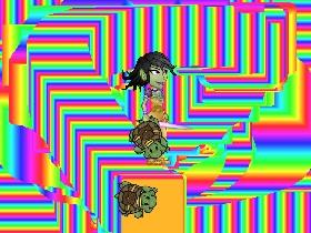 Turtle Trails 1