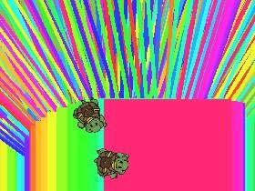 Turtle Trails 1