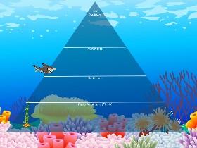 Ecological Pyramid 1