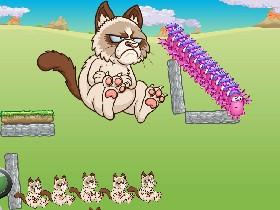 Grumpy Cat 1
