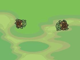 Turtle Trails 1