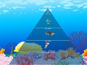 Ecological Pyramid 2 1