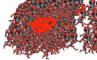 Create an army