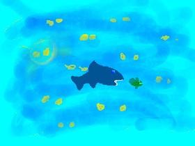 fish case