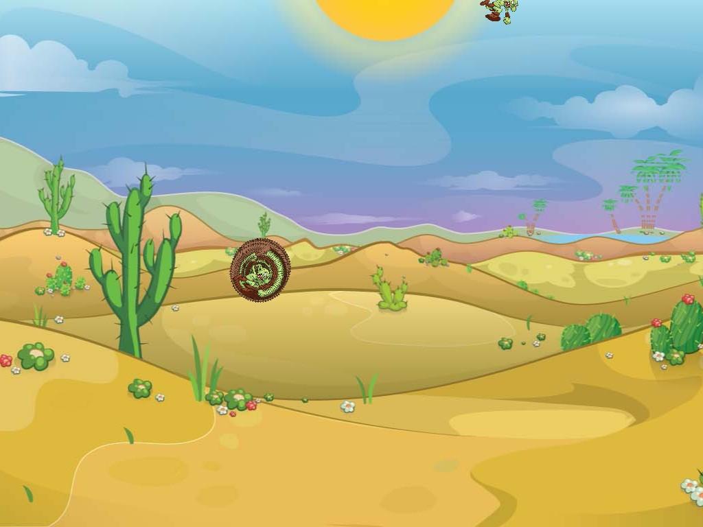 Spin Draw