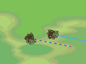 Turtle Trails 3