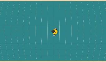 Bird Mayhem 1