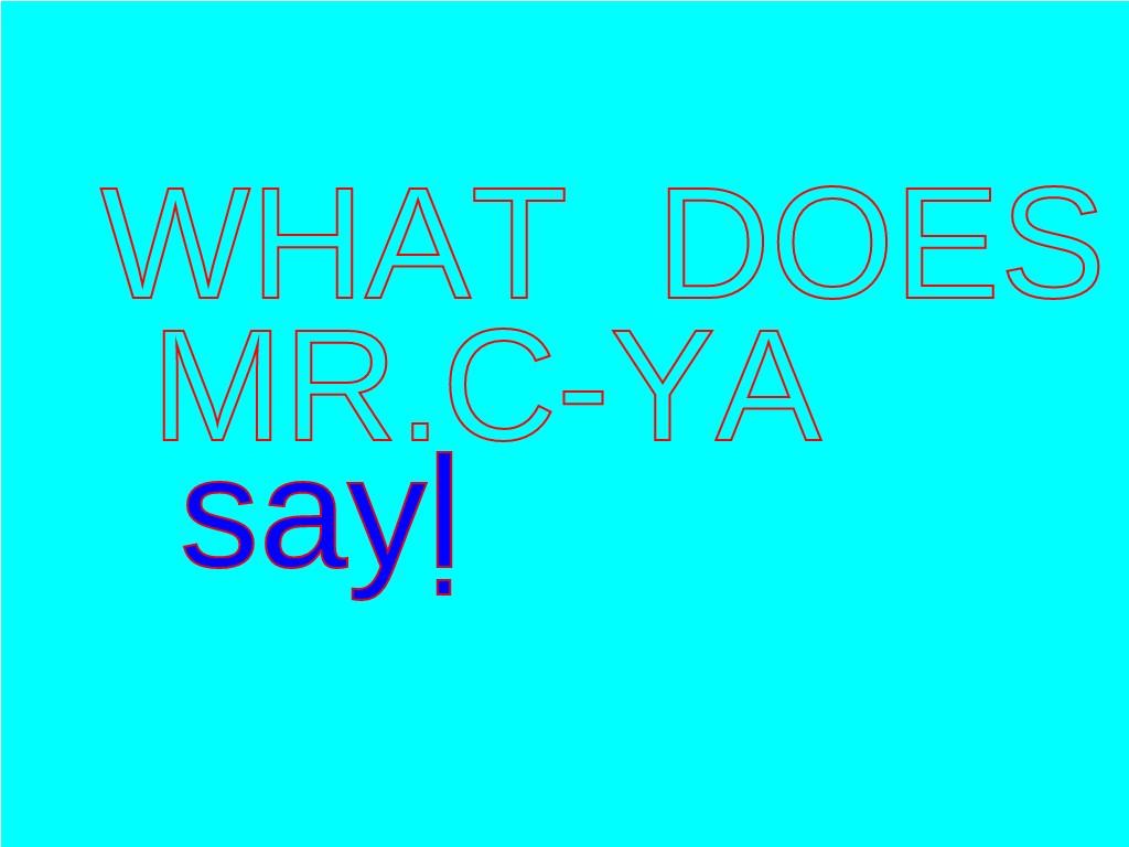 WHAT DOES MR.C-YA SAY