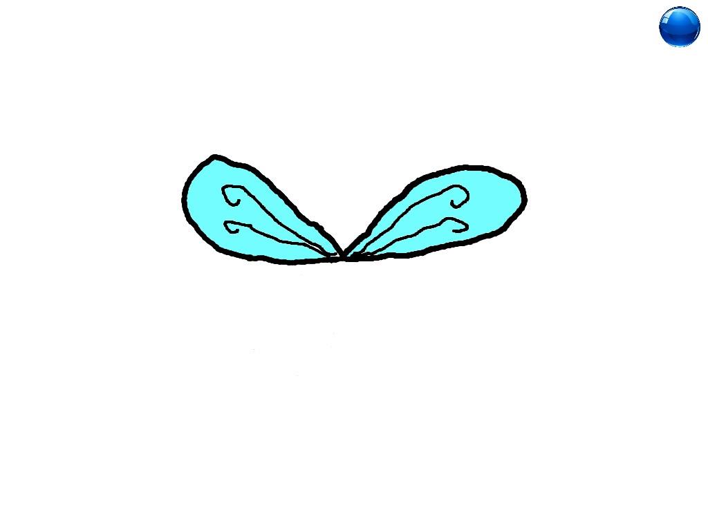 Spin Draw