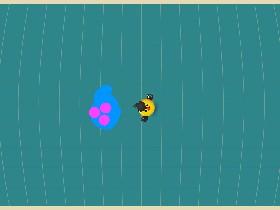 Bird Mayhem 1