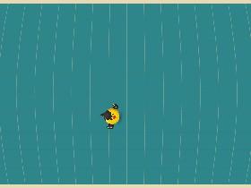 Bird Mayhem 1