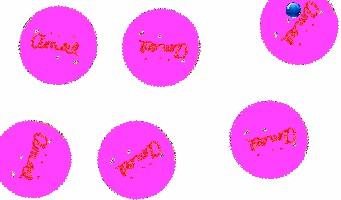 Spin Draw 5