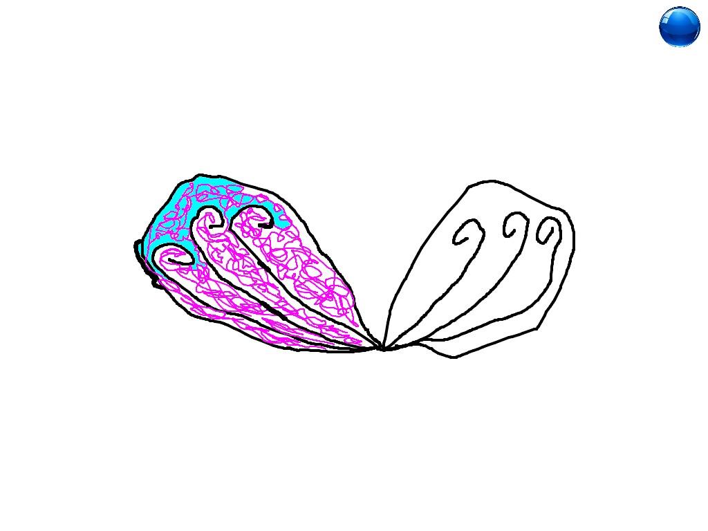 Spin Draw