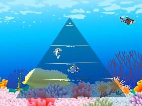Ecological Pyramid 1
