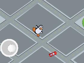 pinguin Control 1 1