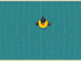 Bird Mayhem 2  dupltics