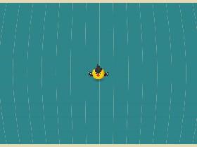 Bird Mayhem 1