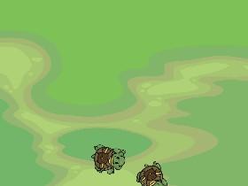 Turtle Trails 1