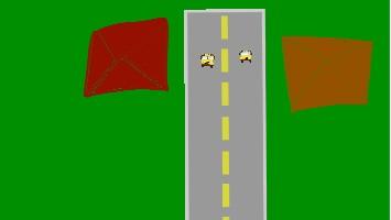 help flash cross the road.
