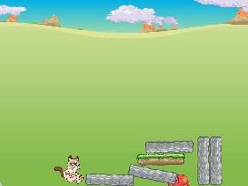Grumpy Cat 1