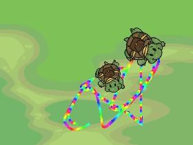 Turtle Trails 4