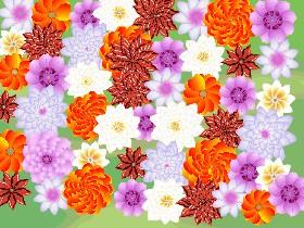 Flower Power 1
