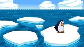peiguin on ice
