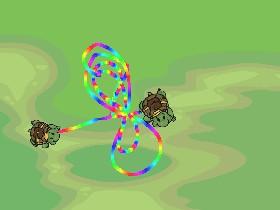 Turtle Trails 1