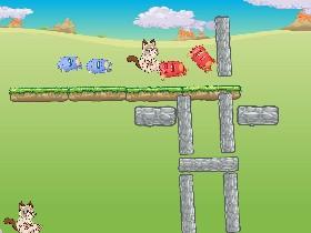 Grumpy Cat Harder