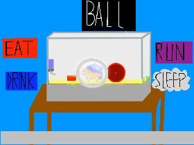 Hamster simulator