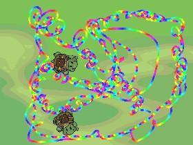 Turtle Trails 1