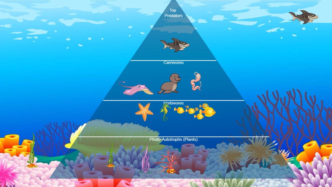 Ocean Food Chain Pyramid Project by Versed Signal | Tynker