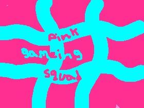 pink squad gameing