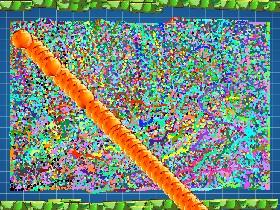 Rainbow Explode1
