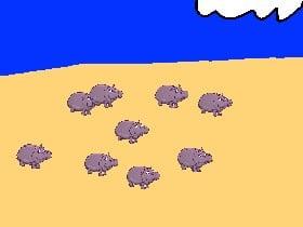 Hippo STAMPede