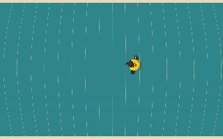 Bird Mayhem 1