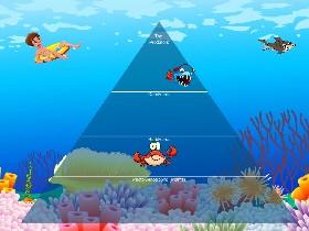 Ecological Pyramid 1