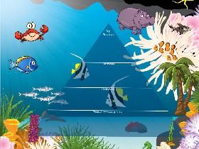 Ecological Pyramid 1