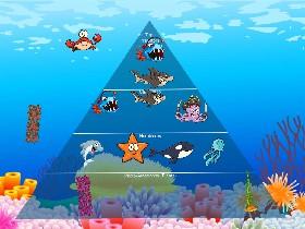 Ecological Pyramid 2
