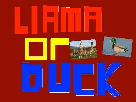 Llama or Duck?