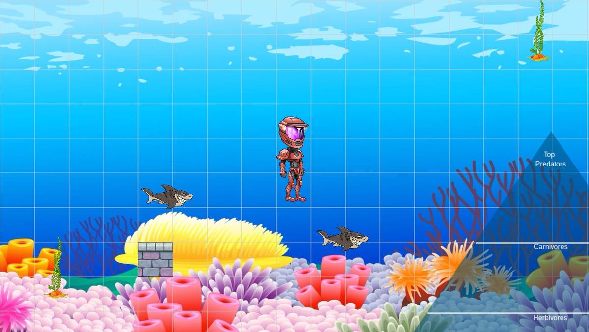 Ocean Ecological Pyramid