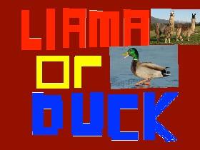 Llama or duck like ❤️