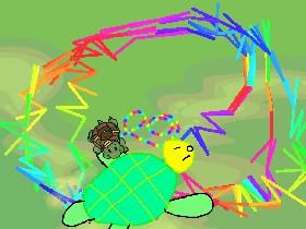Turtle Trails glich